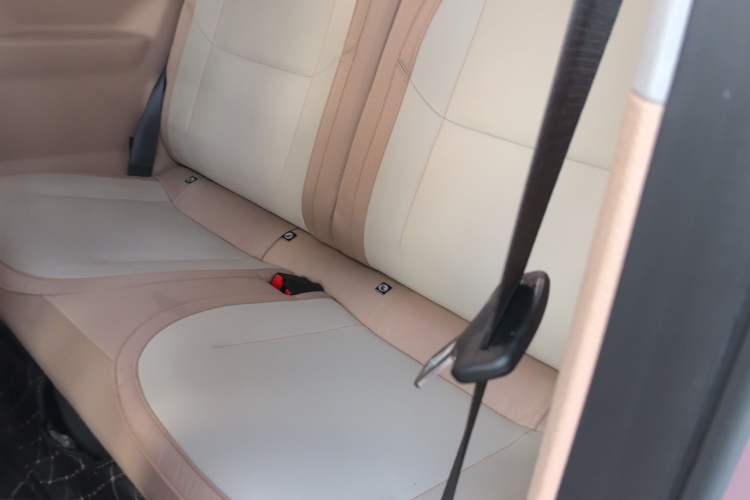 Used  Panda 2023 Panda Mini 200km Endurance Bear
