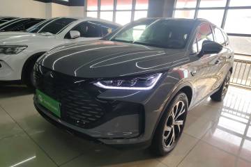 Used BYD Tang New Energy 2025 DM-i 115KM Flagship Model