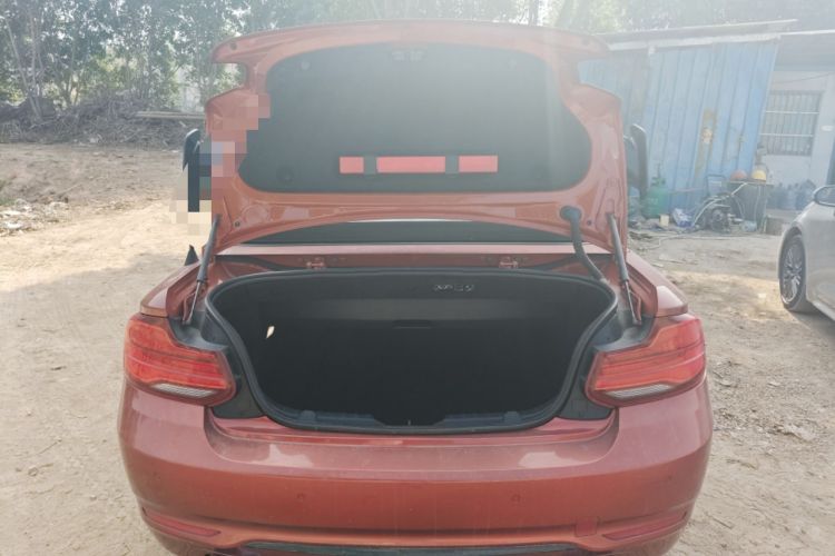 Used BMW 2 Series (Import) 2018 220i Convertible Coupe Sports Design Package