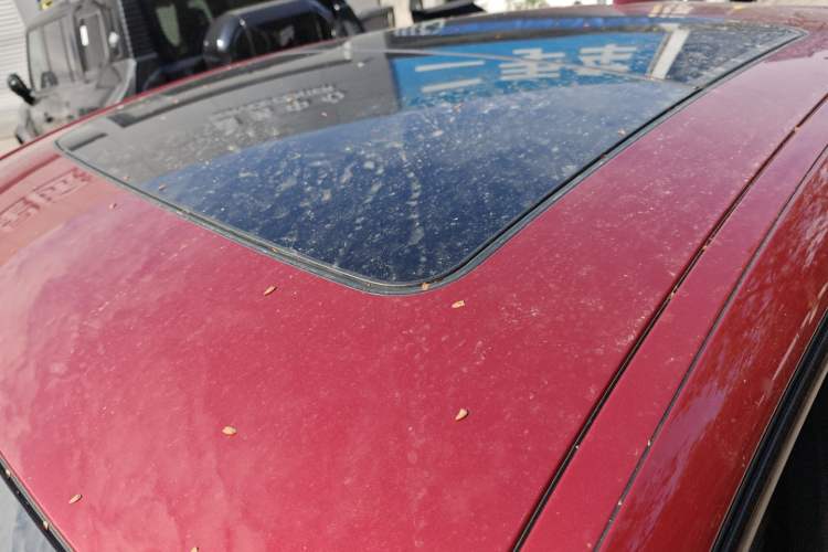 Used BMW X4 2019 xDrive30i M Sport Package