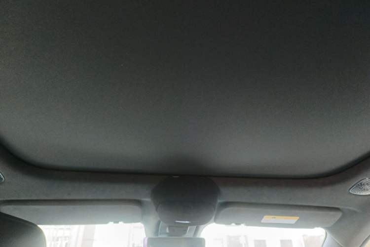 Used  07 2024 Max Pure Electric Edition