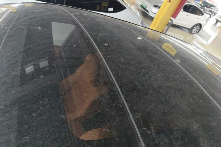 Used Li Auto L6 2024 Pro Model
