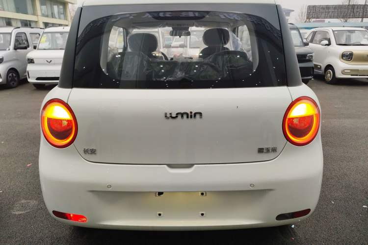Used  Lumin 2024 130km Qingyue Version
