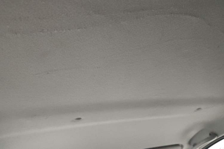 Used SOL E10X 2022 Flower Fairy Style Baby's Breath
