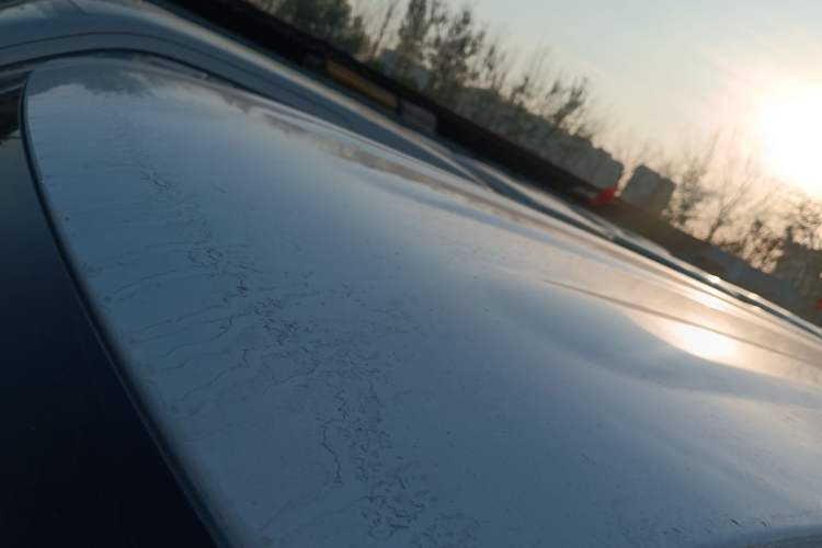 Used  Panda 2024 Panda Mini 200km Endurance Bear
