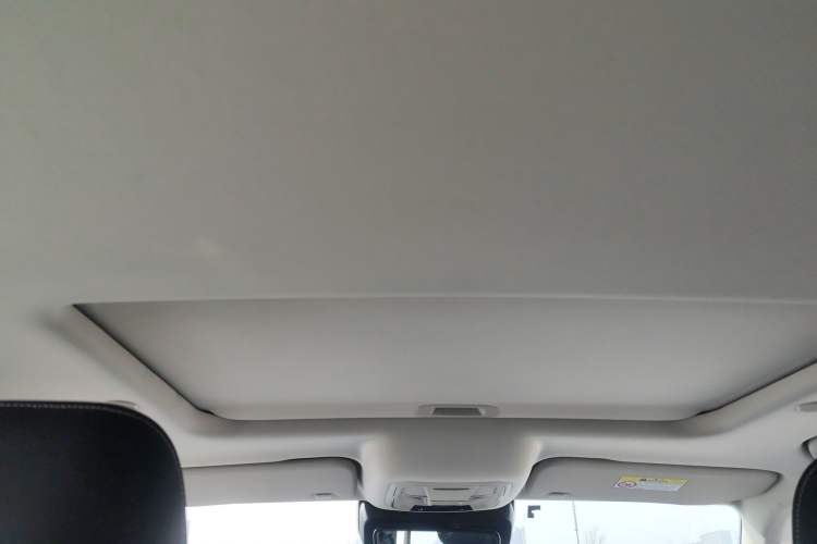 Used Tank 300 2021 City Edition 2.0T—Truly Stylish
