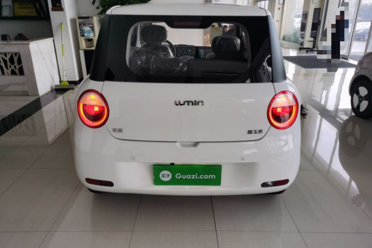Used  Lumin 2023 205km Xiangqin Version
