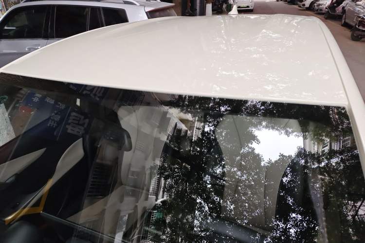 Used BYD Dolphin 2025 420km Free Edition