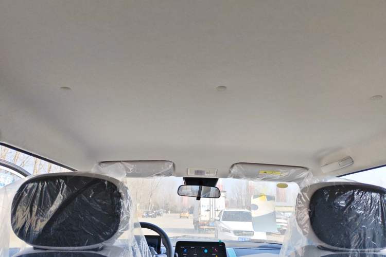 Used Qiyuan Lumin 2025 205 km Xiangqin Version