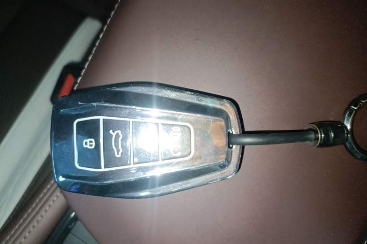 Used Geely Auto Monjaro L 2021 2.0TD DCT EVO Two-Wheel Drive Prestige Version