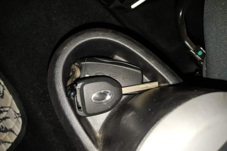 Used ORA Black Cat 2021 301 km Basic Version