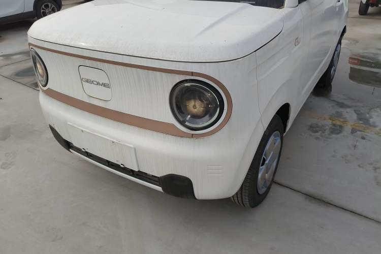 Used  Panda 2024 Panda Mini 200km Endurance Bear
