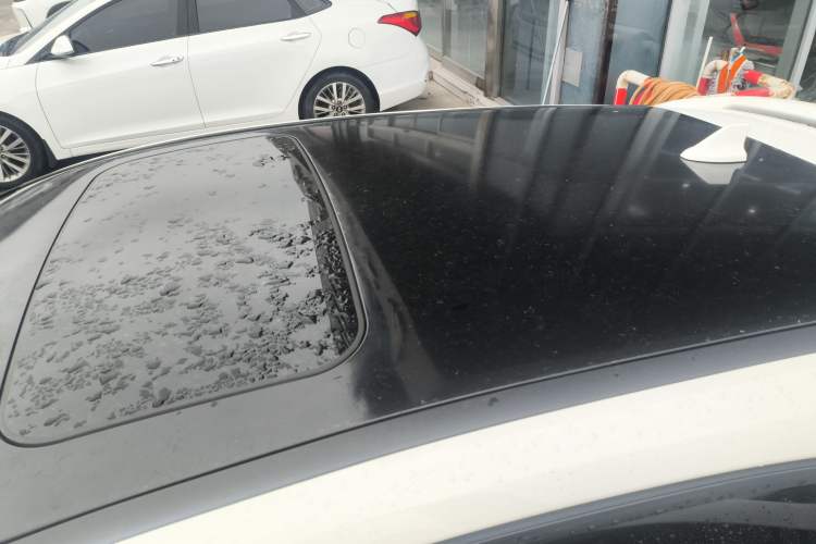 Used Ford Focus 2020 Hatchback Classic 1.5L Automatic Trendy Model