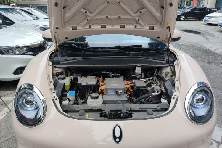 Used ORA Good Cat 2023 401 km Standard Range Luxury Version Lithium Iron Phosphate
