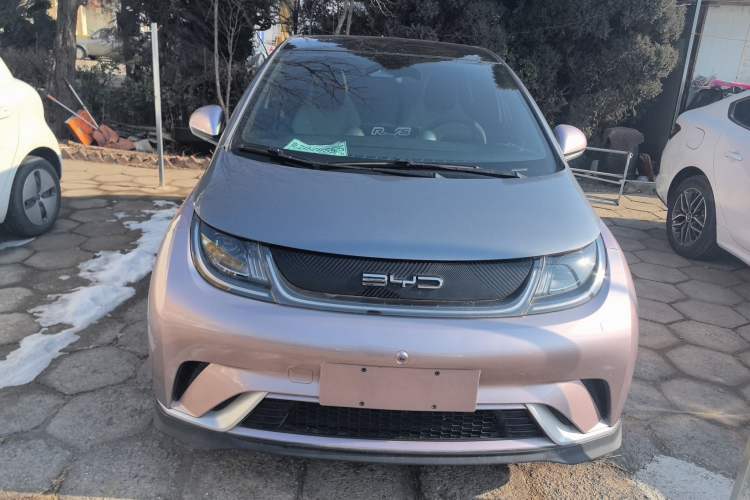 Used BYD Dolphin 2021 401km Knight Edition
