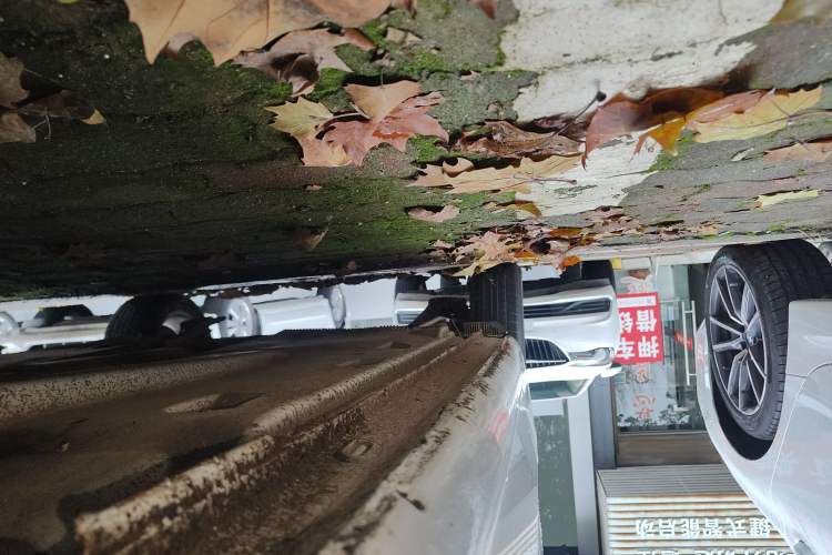 Used Volkswagen Jetta 2019 Dream Edition 1.5L Automatic Fashionable Version