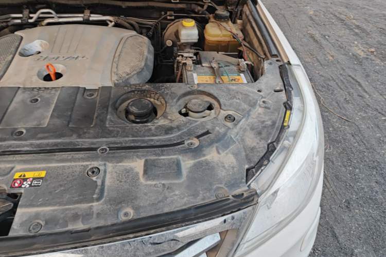 Used Haval H9 2016 2.0T Four-Wheel Drive Luxury 7-Seater
