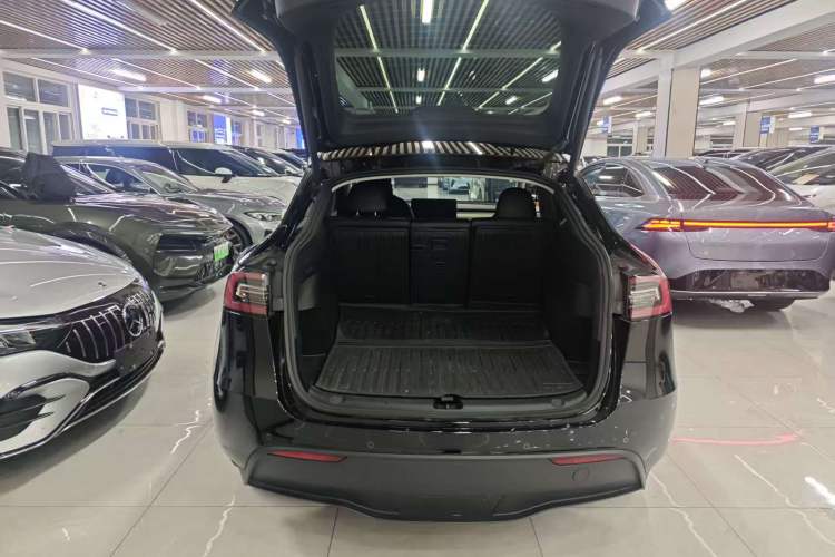 Used Tesla Model Y 2021 Standard Range Rear-Wheel Drive Version
