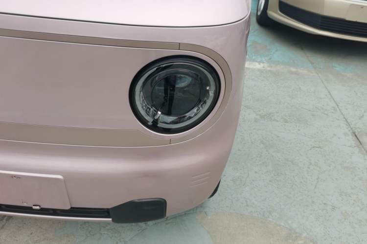 Used  Panda 2023 Panda Mini 200km Endurance Bear
