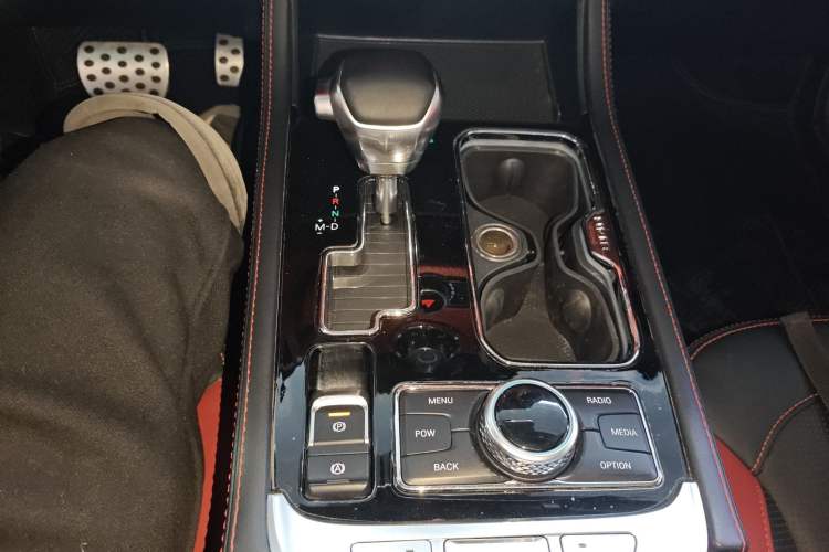 Used  BJ40 2019 PLUS 2.3T Automatic Four-Wheel Drive Premium Edition China VI
