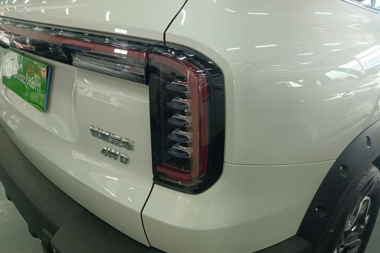 Used Haval DARGO 2024 2.0T DCT Chinese Rural Dog Edition
