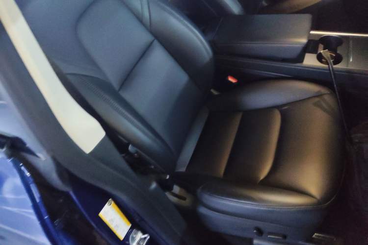 Used Tesla Model Y 2021 Standard Range Rear-Wheel Drive Version
