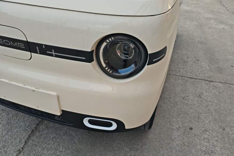 Used  Panda 2025 210 km – Yuanqi Bear
