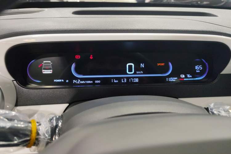 Used  Panda 2025 210 km – Yuanqi Bear
