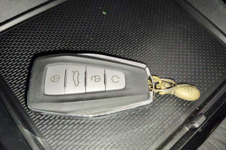 Used Geely Auto Monjaro L 2021 2.0TD DCT EVO Two-Wheel Drive Prestige Version
