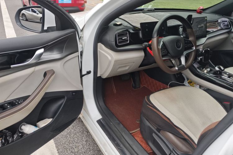 Used BYD Qin PLUS 2023 Champion Edition EV 510KM Leading Model
