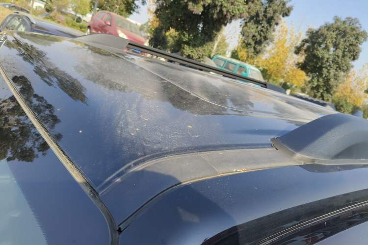 Used Tank 300 2023 Off-Road Edition 2.0T Conqueror
