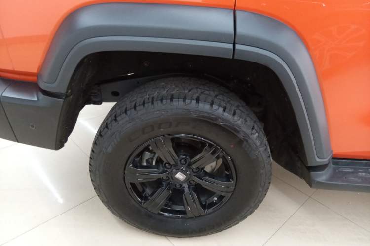 Used Tank 300 2025 2.0T Conqueror