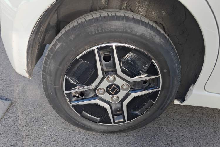 Used SOL E10X 2022 Flower Fairy Design Four-Leaf Clover