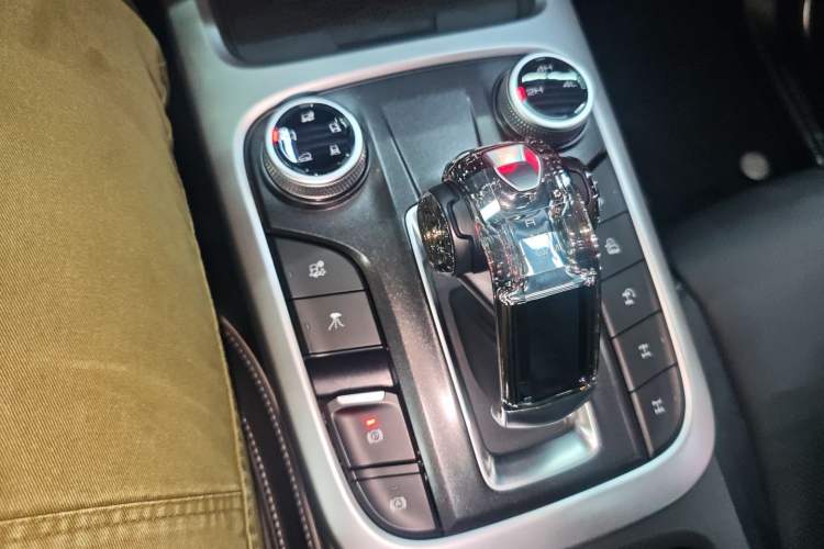 Used Tank 300 2024 2.0T Conqueror