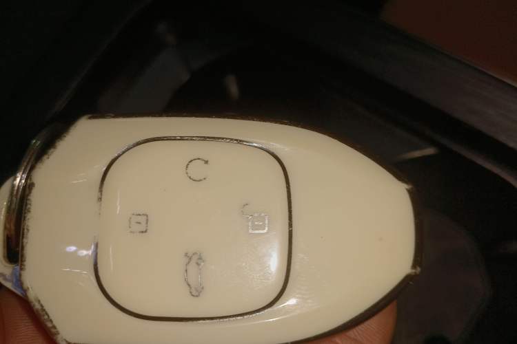 Used GAC Trumpchi GS8 2025 Linghang Series 2.0 TGDI Two-Wheel-Drive Luxury Edition 5 Seats
