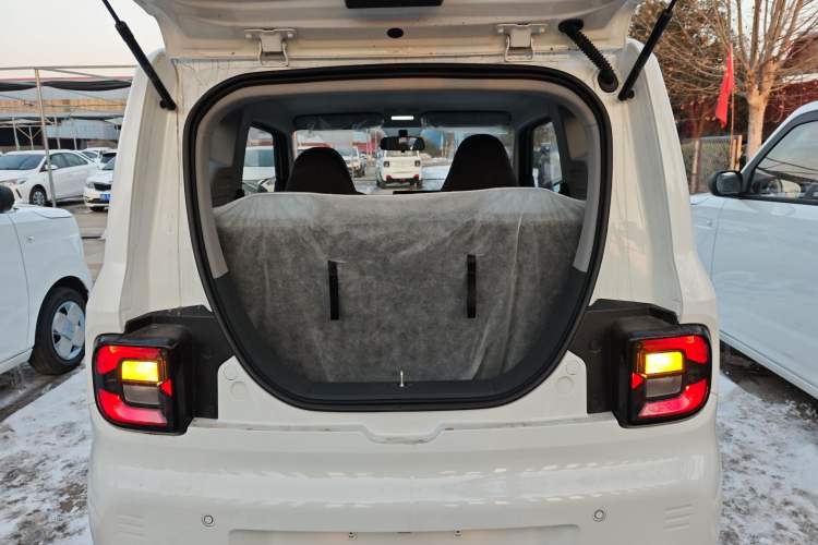 Used  Panda 2024 Panda Mini 200km Endurance Bear