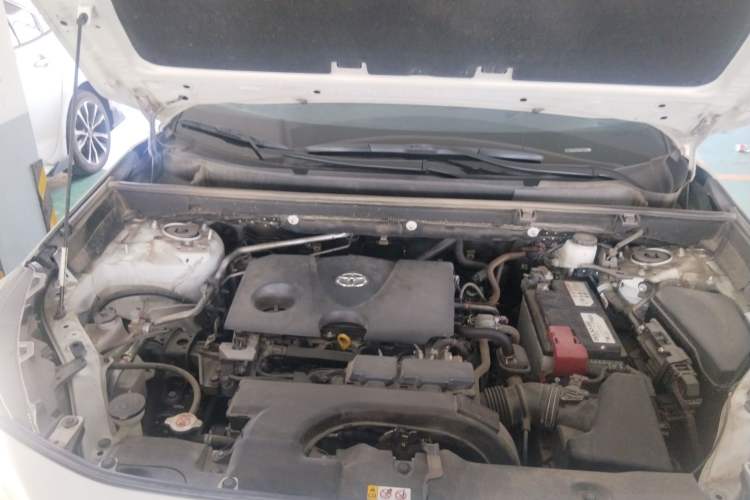 Used Toyota Wildlander 2021 2.0L CVT Two-Wheel Drive Luxury Edition
