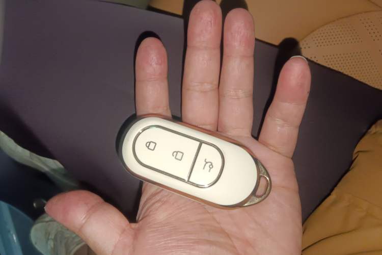 Used Leapmotor C01 2024 Range-Extended 316 Deluxe Edition
