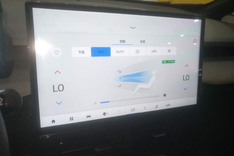 Used AION Y 2022 70 Enjoyment Edition Lithium Iron Phosphate
