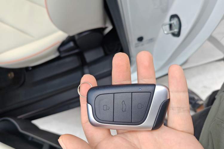 Used Chery Little Ant 2024 Refreshed Version Youth Edition 321 km Beloved Edition 29.23 kWh
