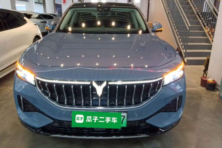 Used VOYAH FREE 2021 Four-Wheel Drive Standard Range-Extended Exclusive Luxury Package
