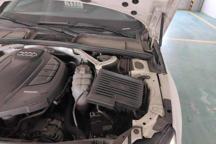 Used Audi A4L 2019 40 TFSI Fashion Edition China VI Emission Standard