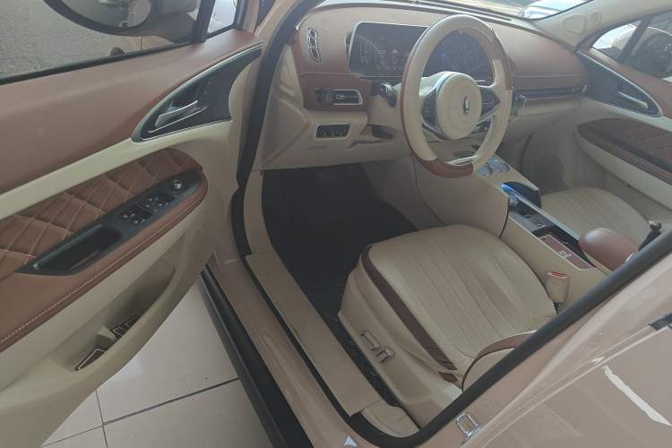 Used ORA Good Cat 2022 Morandi Edition 400km Standard Range Luxury Version Lithium Iron Phosphate
