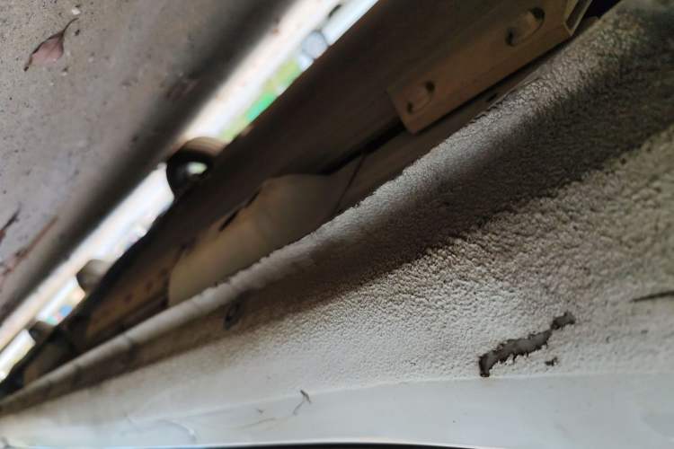 Used ORA White Cat 2020 305 km Luxury Version
