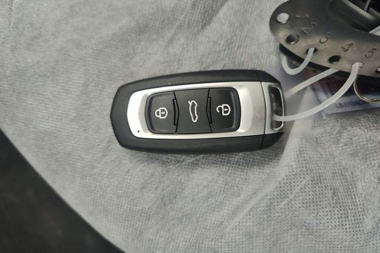 Used  Panda 2024 Panda Mini 200km Endurance Bear
