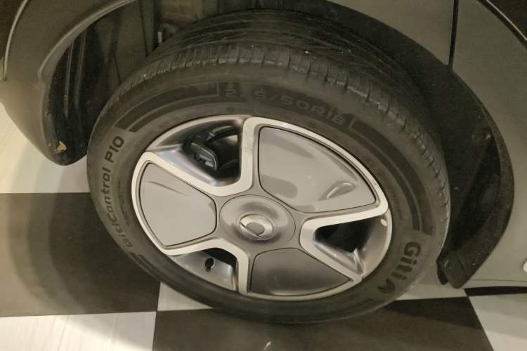 Used  #1 2023 Pro Edition