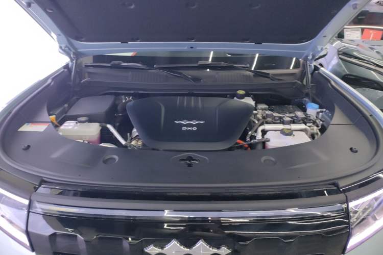 Used  Leopard 8 2025 Smart & Brave Flagship Edition 7 Seats
