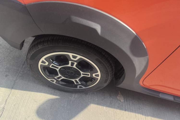 Used  Panda 2024 200km Panda Rider