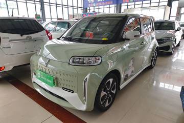 Used ORA White Cat 2022 Xiaoyue Mao Edition 360 km Luxury Model Lithium NMC