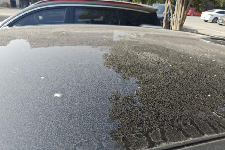 Used Changan UNI-T 2022 2.0T Prestige Version
